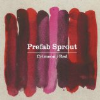 Prefab Sprout - The Old Magician